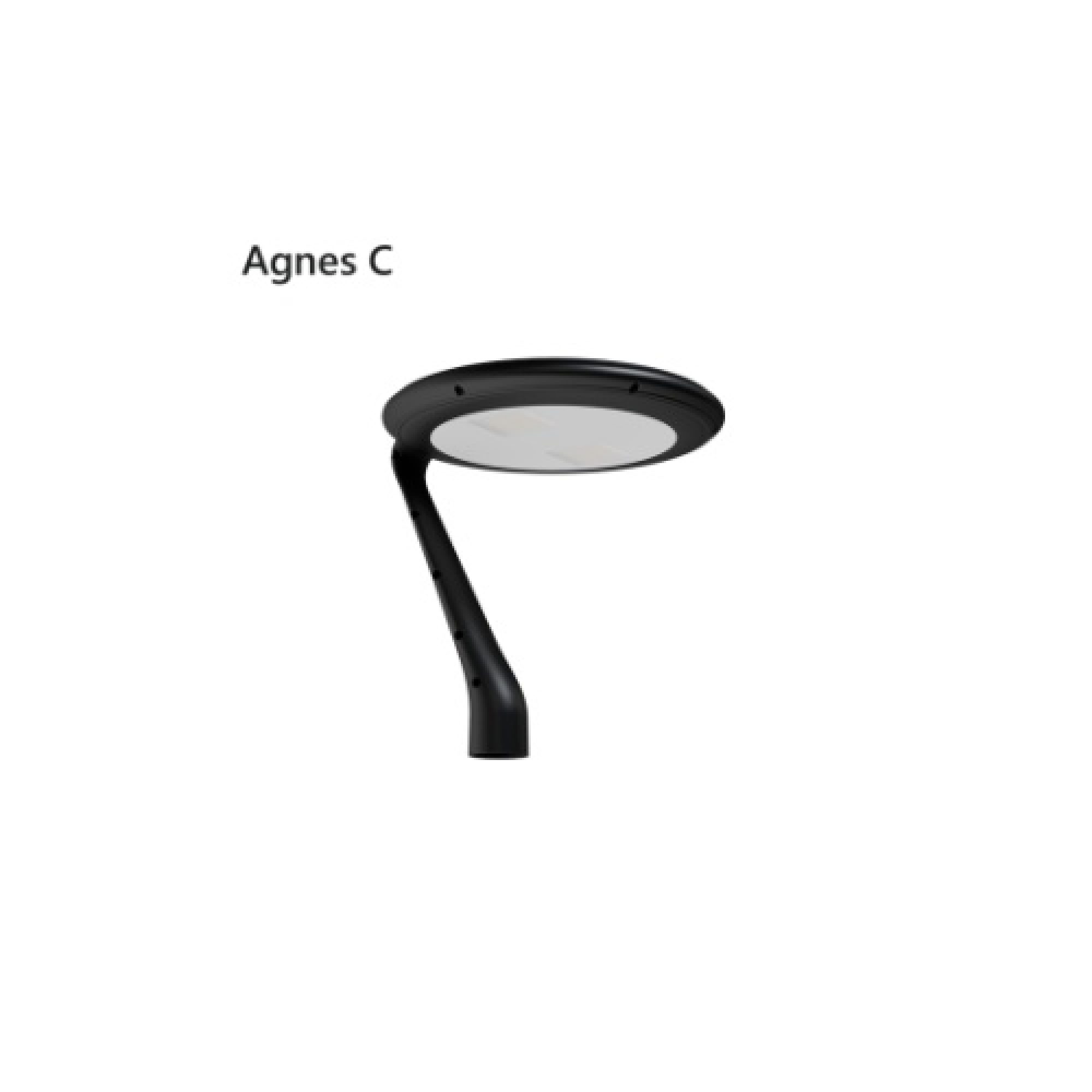 Agnes C