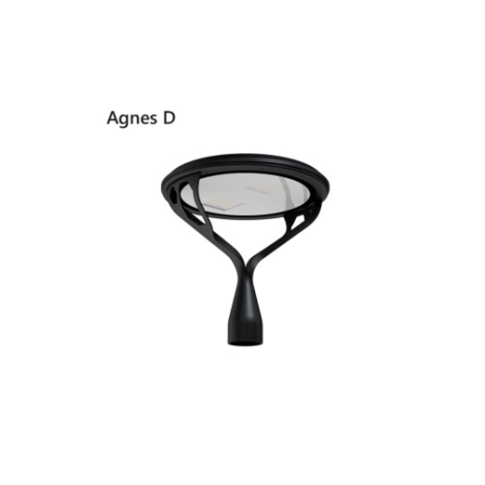 Agnes D